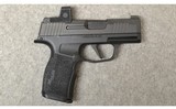 SIG Sauer ~ P365X ~ 9MM Luger - 1 of 3