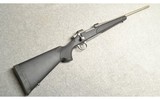 Remington Arms ~ 700 ~ .30-06 Springfield - 1 of 10