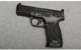 Smith & Wesson ~ M&P 10mm M2.0 - 2 of 4