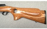 Ruger ~ 10/22 ~ .22 LR - 9 of 10