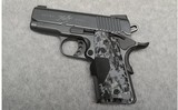 Kimber ~ Ultra Covert ~ .45 ACP - 2 of 3