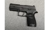 SIG Sauer ~ P320 ~ .45 ACP - 2 of 3