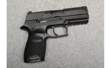 SIG Sauer ~ P320 ~ .45 ACP - 1 of 3