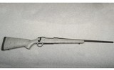Nosler ~ M48 ~ 7mm Remington Magnum - 1 of 10