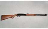 Remington ~ 572 ~ .22 S, L, LR