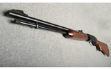 Remington ~ 572 ~ .22 S, L, LR - 10 of 10