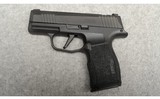 Sig Sauer ~ P365X ~ 9mm Luger - 2 of 3