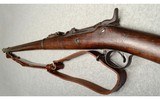 US Springfield ~ 1884 Trapdoor ~ .45-70 - 10 of 10