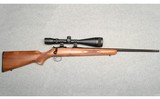 CZ ~ 452-2E American ~ .17 HMR