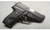 Sig Sauer ~ P229 ~ .40 S&W - 1 of 2