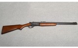 Savage ~ 24 ~ .22 Long Rifle and 20 Gauge