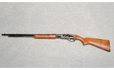 Remington ~ Fieldmaster 572 ~ .22 LR - 6 of 11