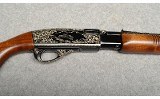 Remington ~ Fieldmaster 572 ~ .22 LR - 2 of 11