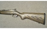 Ruger ~ All Weather 77/17 ~ .17 HMR - 9 of 14