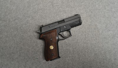 SIG SAUER ~ P229 ~ 9mm Luger