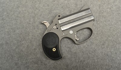 Bond Arms ~ Honey B ~ .380 Auto