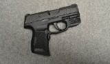 SIG Sauer ~ P365 ~ 9MM Luger - 1 of 6