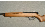 Mahely ~ M-21 ~ .22 Long Rifle - 8 of 10