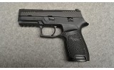 SIG Sauer ~ P320 ~ 9mm Luger - 2 of 6