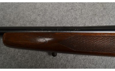 Winchester ~ Model 70 ~ .223 Remington - Image 11 of 12
