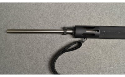 Bushmaster ~ XM15-E2S ~ .223/5.56 - Image 6 of 12