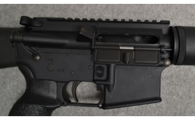 Bushmaster ~ XM15-E2S ~ .223/5.56 - Image 12 of 12