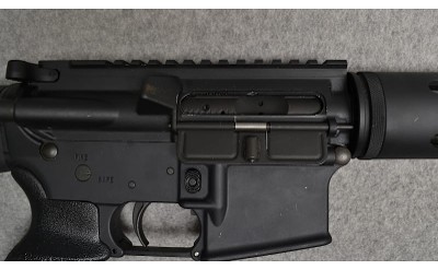 Bushmaster ~ XM15-E2S ~ .223/5.56 - Image 11 of 12