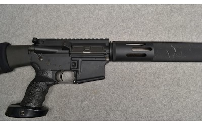 Bushmaster ~ XM15-E2S ~ .223/5.56 - Image 3 of 12