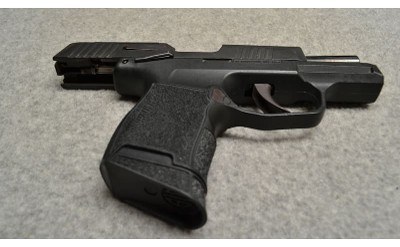SIG Sauer ~ P365 ~ .380 ACP - Image 5 of 6