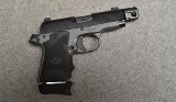Kimber ~ Micro 9 ~ 9mm Luger