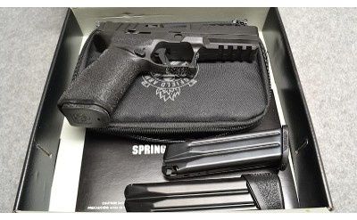 Springfield Armory ~ Echelon ~ 9mm Luger - Image 6 of 6