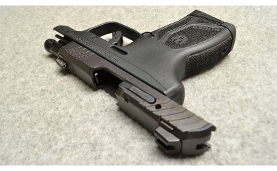 Ruger ~ LCP MAX ~ .380 Auto - Image 4 of 6