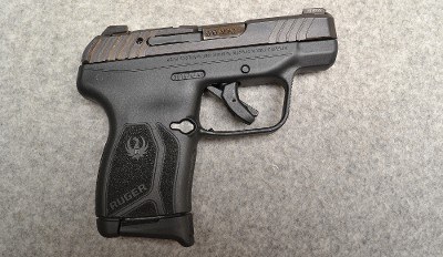 Ruger ~ LCP MAX ~ .380 Auto - Image 1 of 6