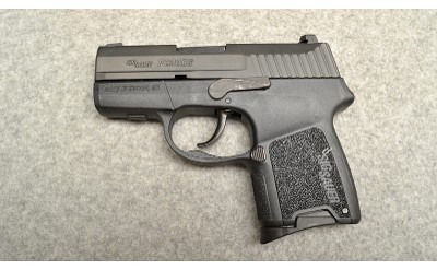 SIG Sauer ~ P290RS ~ .380 Auto - Image 2 of 6