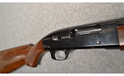 Winchester ~ 50 ~ 20 Gauge - Image 11 of 11