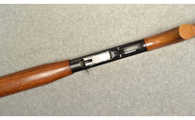 Winchester ~ 50 ~ 20 Gauge - Image 7 of 11