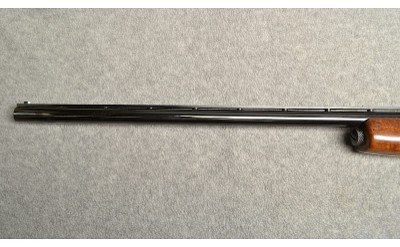 Winchester ~ 50 ~ 20 Gauge - Image 6 of 11