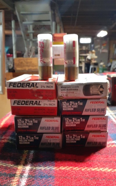 FEDERAL