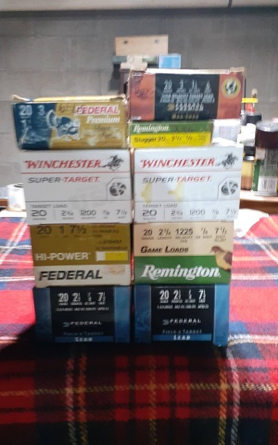 REMINGTON 20 GAUGE AMMO