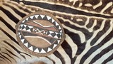 MAASAI TRIBAL SHIELD AND SPEAR - 2 of 14