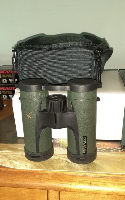 Swarovski Companion 10x30