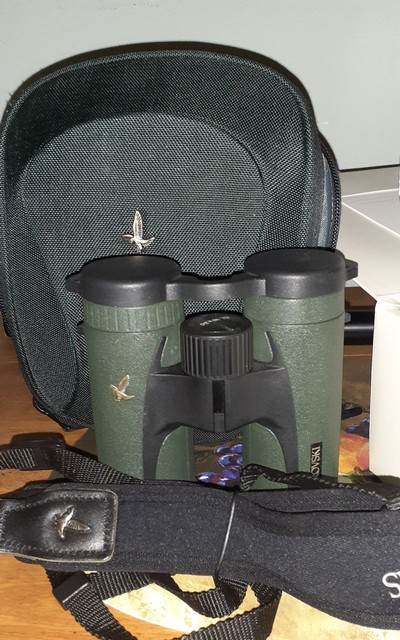 Swarovski Companion 10x30