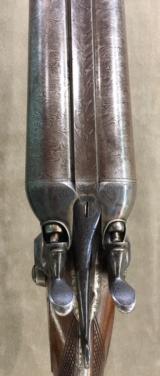CHARLES DALY PRUSSIAN 12 GA HAMMER SHOTGUN - EARLY & EXCELLENT -
- 8 of 11