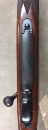WINCHESTER MODEL 70 CLASSIC COMPACT .308 20 INCH WALNUT - EXCELLENT - - 8 of 9