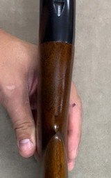 Winchester Model 12 16 Ga 28 Inch Full - 99% As new - Circa 1953 - 14 of 16