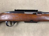 Winchester Model 100 .308 Pre 64 - excellent - 2 of 12