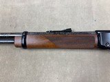 Henry Varmint Express .17HMR - Rusted - - 8 of 10