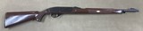 Remington Nylon 66 .22 - 1 of 9