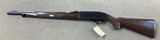 Remington Nylon 66 .22lr - 3 of 8