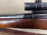 Remington 1903 Sporter - excellent condition - 5 of 8